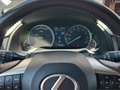 Lexus RX 450h Executive Tecno Gri - thumbnail 10