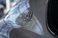 Maserati Levante Trofeo V8 *22 *Pano *LUFT *B&W *Carbon Gris - thumbnail 21