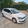 Volkswagen Polo Polo 1.2 TDI DPF 5 p. Comfortline Blanc - thumbnail 5