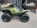Yamaha Grizzly 700 Vert - thumbnail 1
