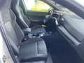 Volkswagen Golf R-Line "BLACK STYLE" 1.5 eTSI DSG *Matrix* Weiß - thumbnail 10