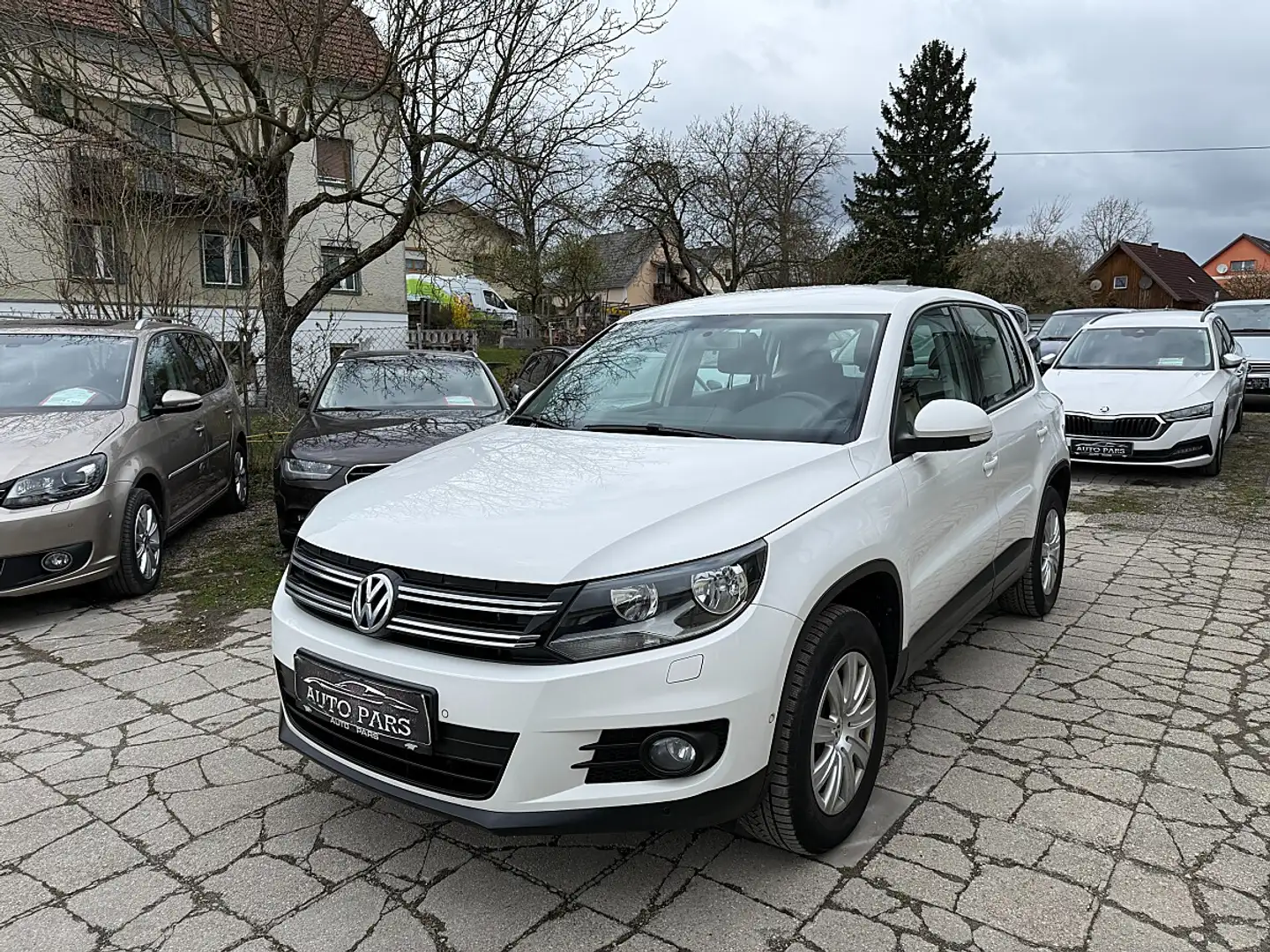 Volkswagen Tiguan 2,0 TDI Trend&Fun BMT-1.BESITZ-PARKASSIST Weiß - 1