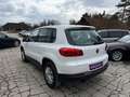 Volkswagen Tiguan 2,0 TDI Trend&Fun BMT-1.BESITZ-PARKASSIST Weiß - thumbnail 9