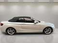 BMW 218 218i Cabrio Blanco - thumbnail 14