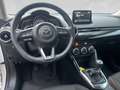 Mazda 2 /G90/Takumi Weiß - thumbnail 14