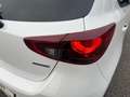 Mazda 2 /G90/Takumi Weiß - thumbnail 11