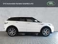 Land Rover Range Rover Evoque Si4 Autobiography Blanc - thumbnail 6