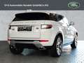Land Rover Range Rover Evoque Si4 Autobiography Wit - thumbnail 2