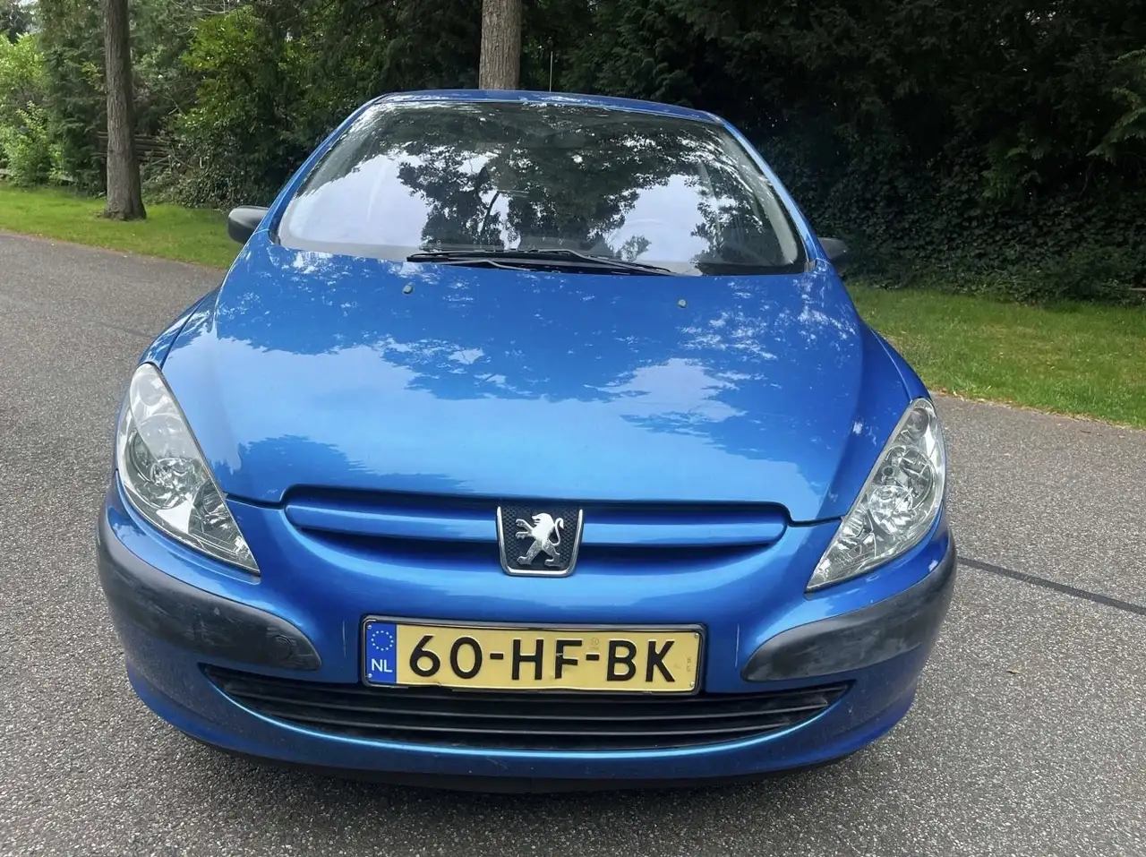 Peugeot 307 1.6-16V XR, foto 9