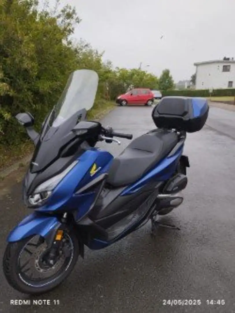 Honda Forza 125 Albastru - 2