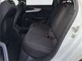 Audi A4 Avant 2,0 TDI Massage TÜV NEU Blanc - thumbnail 20