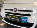 Fiat 500C /S/Leder/Aluräder/Cabrio/Klima/Sport Weiß - thumbnail 25