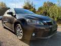 Lexus CT 200h Braun - thumbnail 1