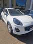 Ford Puma Puma II 2020 1.0 ecoboost Connect 95cv Weiß - thumbnail 3
