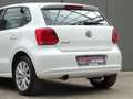 Volkswagen Polo 1.4-16V Comfortline * AUTOMAAT * 4 SEIZOENSBANDEN Fehér - thumbnail 30