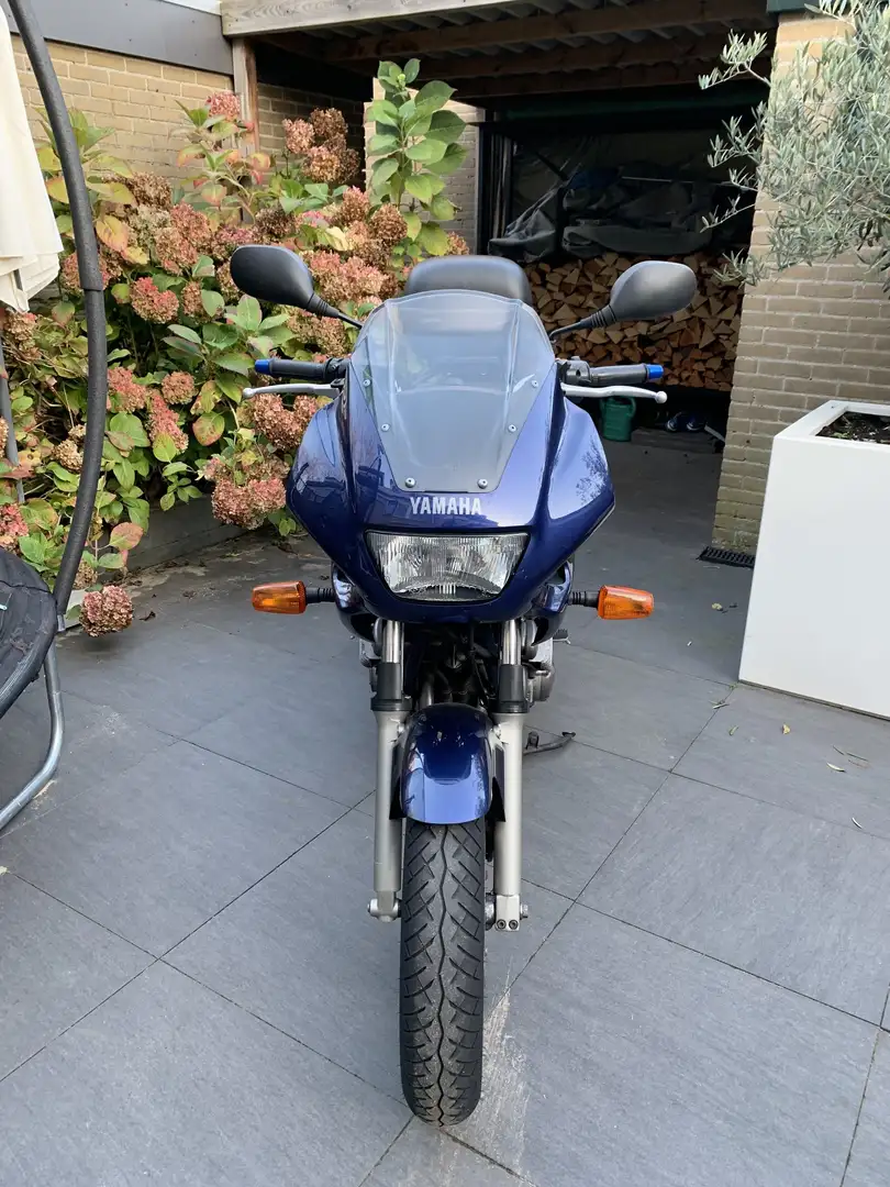 Yamaha XJ 600 XJ600S Diversion Niebieski - 2