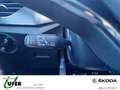 Skoda Kamiq Monte Carlo 1.5 TSI ACC NAVI KESSY Schwarz - thumbnail 15