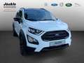 Ford EcoSport Active Weiß - thumbnail 3