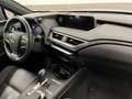 Lexus UX 300e UX Full Electric Luxury Nero - thumbnail 11