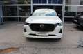 Mazda CX-60 3.3L e-SKYACTIV D AWD HOMURA CON/DRI/PAN Aut. Blanc - thumbnail 8