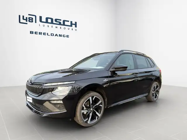 Skoda Kamiq view 2
