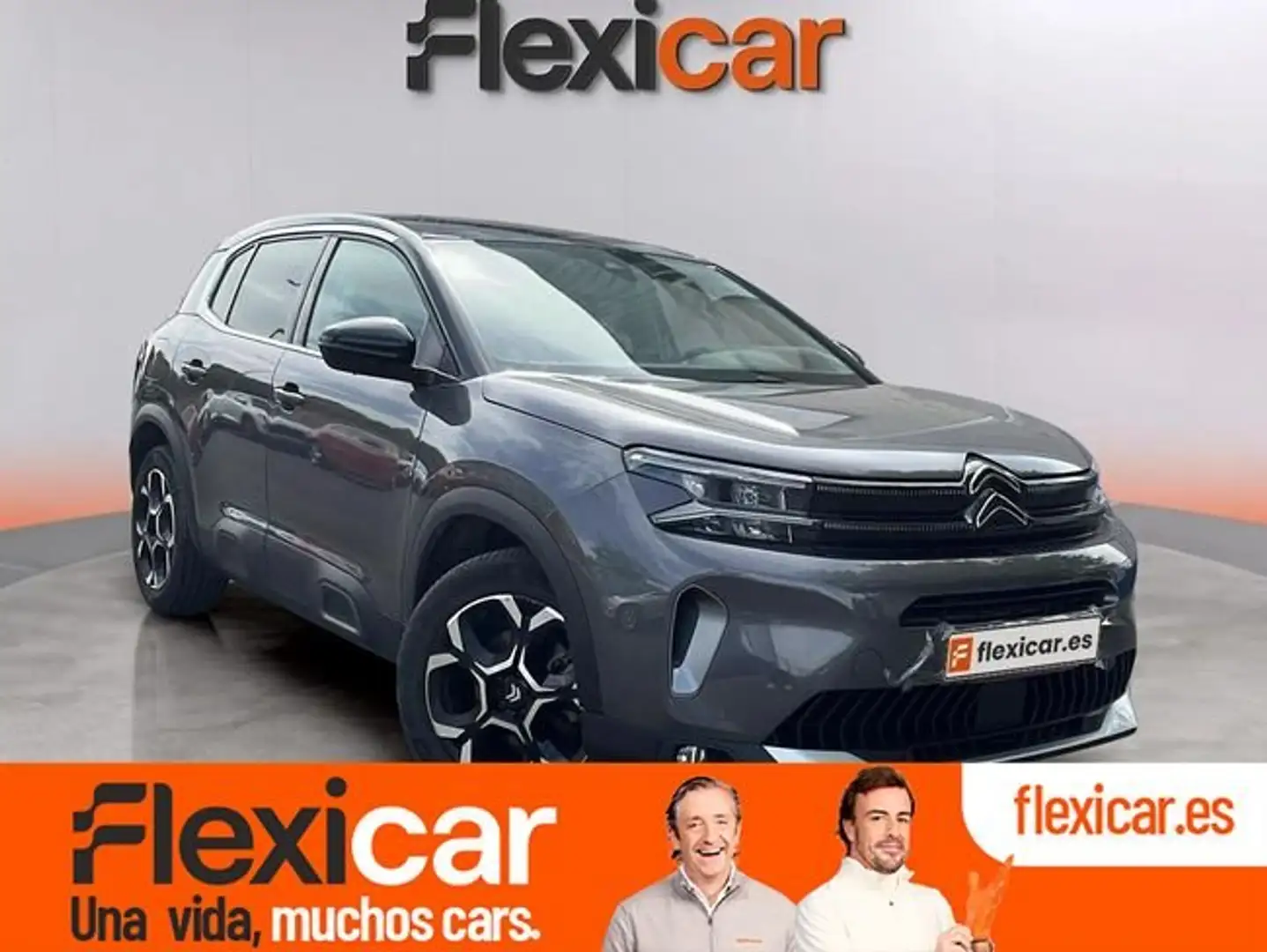 Citroen C5 Aircross BlueHDi S&S Max EAT8 130 Gris - 1