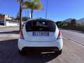 Lancia Ypsilon 1.0 firefly hybrid Silver s&s 70cv 5p.ti - thumbnail 4