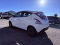 Lancia Ypsilon 1.0 firefly hybrid Silver s&s 70cv 5p.ti - thumbnail 5