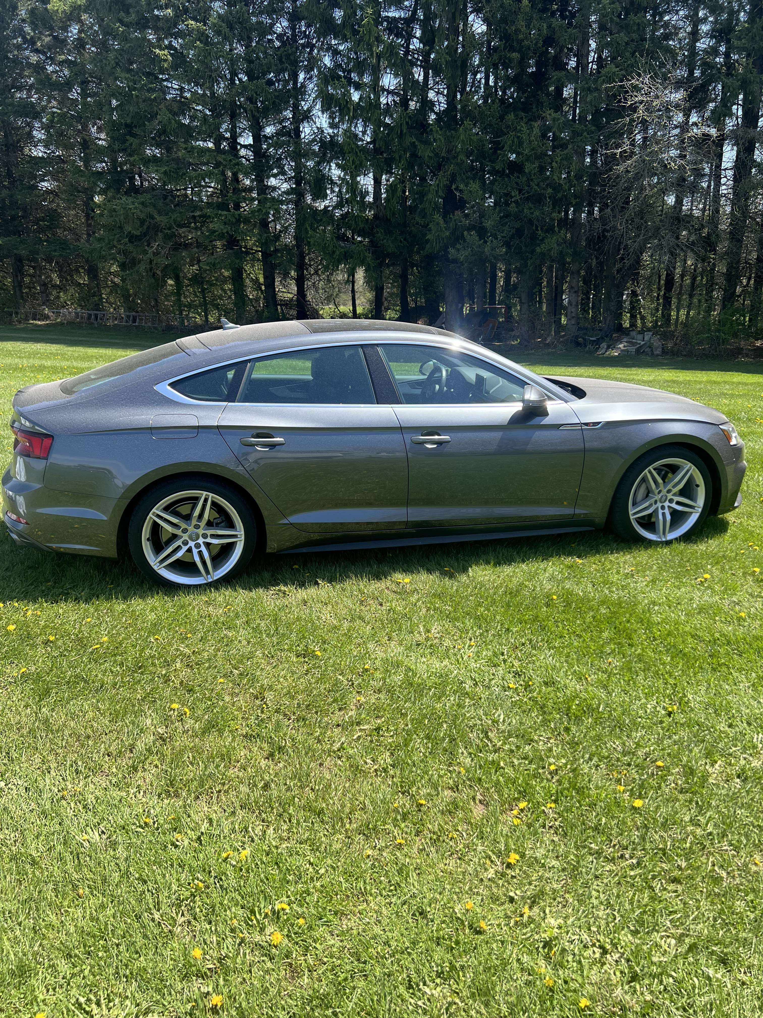2019 Audi A5 Technik alt 3