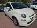 Fiat 500 1.0 Club Klima&Sound*Klima*KomfortPaket*Pano Blanc - thumbnail 3