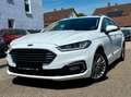 Ford Mondeo Turnier 2.0 EcoBlue Aut. Titanium ACC|AHK Weiß - thumbnail 6