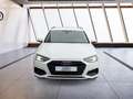 Audi A4 Avant 35 TDI LED NAVI+ ACC STANDHZG. HEAD-UP SMART Weiß - thumbnail 4