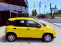 Fiat New Panda PANDINA - KM 0 - PROMO FINANZIAMENTO Giallo - thumbnail 3