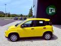 Fiat New Panda PANDINA - KM 0 - PROMO FINANZIAMENTO Giallo - thumbnail 6
