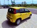 Fiat New Panda PANDINA - KM 0 - PROMO FINANZIAMENTO Giallo - thumbnail 4