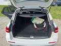 Mercedes-Benz E 200 E 200 d T Avantgarde Aut. Avantgarde Weiß - thumbnail 12