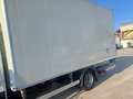 Iveco Daily 60C15 FRIGO CON SPONDA IDRAULICA Blanc - thumbnail 3