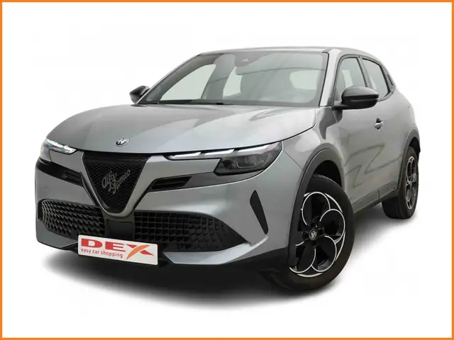 Alfa Romeo Junior
