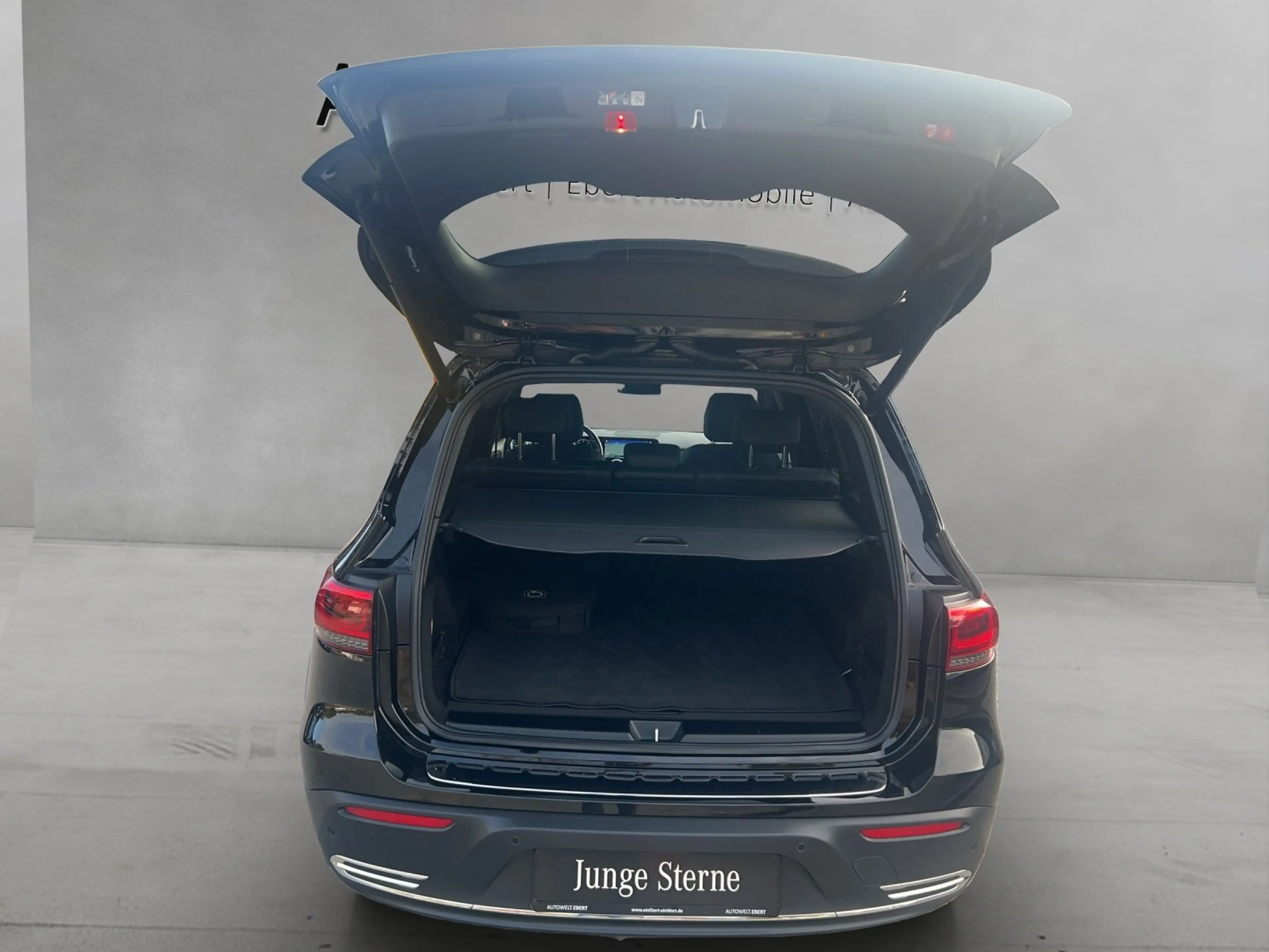 Mercedes-Benz EQB 250 EQB250 Progres DISTRO Advan+ KeyGo LED Kamra DAB — photo 14
