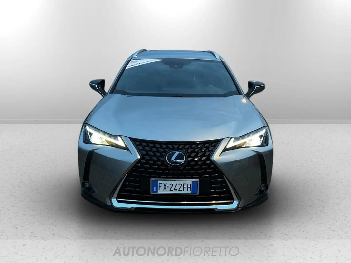 Lexus UX 250h 250h 2.0 premium 4wd cvt Grau - 2