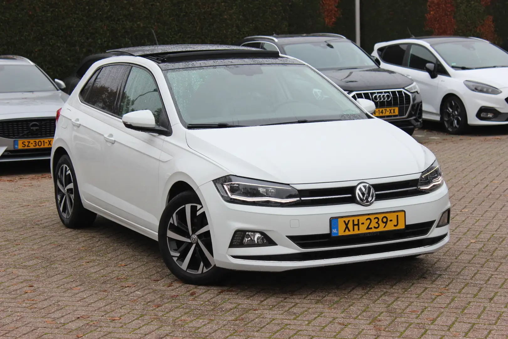 Volkswagen Polo 1.0 TSI Highline / Panoramadak / Virtual Cockpit / Blanc - 1