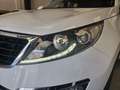 Kia Sportage 1.6 GDI Concept 4x2 Blanco - thumbnail 13