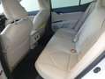Toyota Camry Híbrido Luxury Aut. Weiß - thumbnail 3