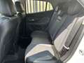Opel Mokka 1.6 Ecotec 115CV 4x2 Start&Stop Cosmo - POSSIBILI - thumbnail 18