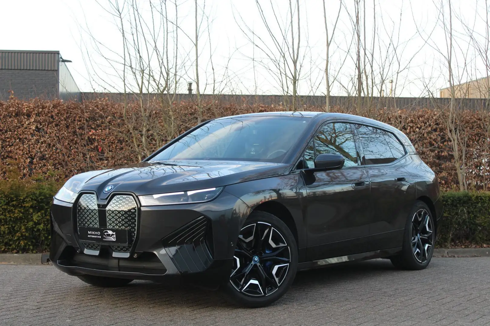 BMW iX XDrive 50 High Executive | Sportpakket | Skylounge Gris - 1