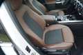 Mercedes-Benz B 250 B 250 ,Automatic,Navi,LED,AHK,Sport bijela - thumbnail 10