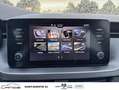 Skoda Kamiq 1.0 TSI 116 ch BVM6 Ambition Wit - thumbnail 15