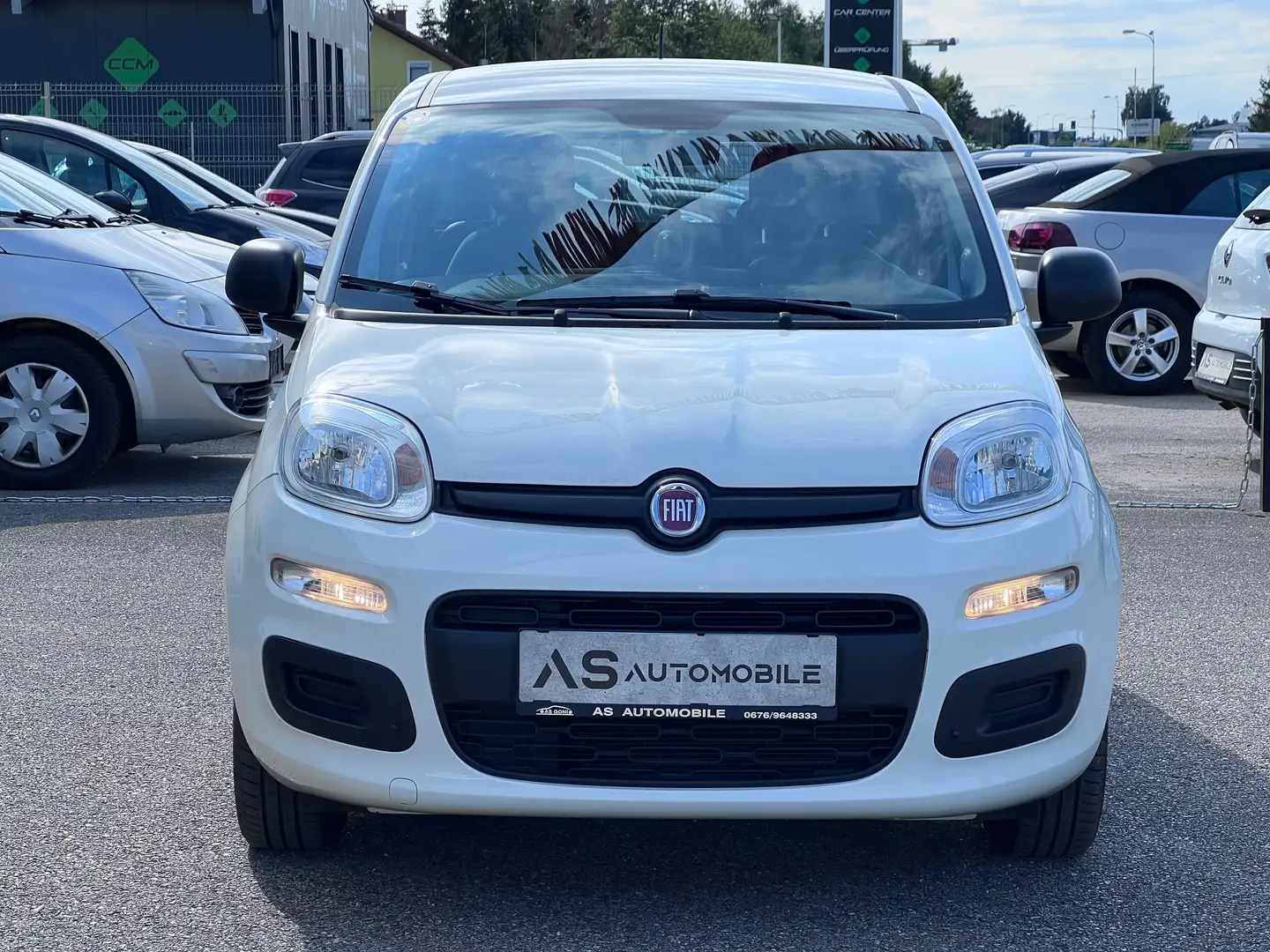 Fiat Panda Easy 1,2 Finanzierung Blanc - 2