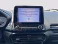 Ford EcoSport 1.0 ecoboost ST-Line Black Edition s&s 125cv my19 Bianco - thumbnail 14