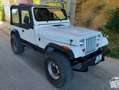 Jeep Blanc - thumbnail 1